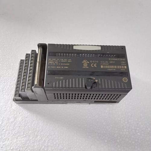 IC200ALG264 Input Module